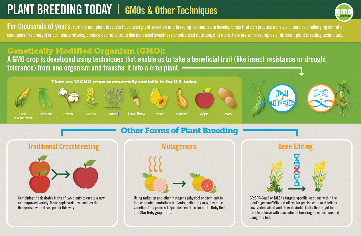 pochi-visualizza-internet-incondizionato-modified-organisms-examples-punto-esclamativo-in